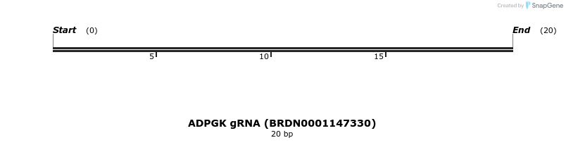 145459_map
