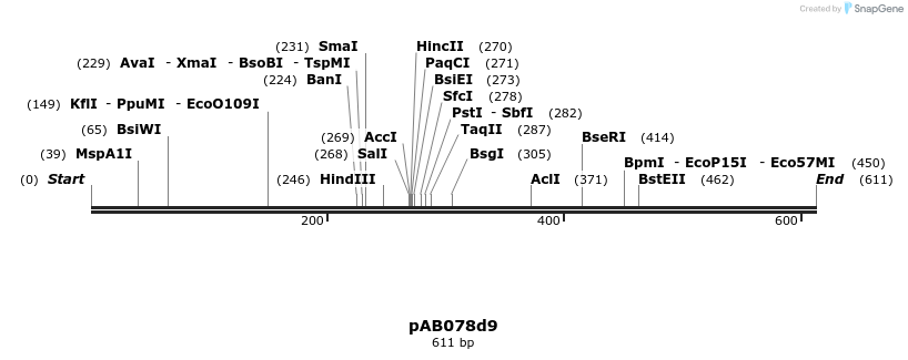151274_map