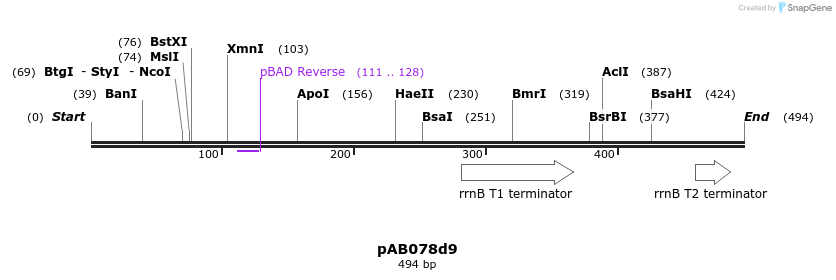 151277_map