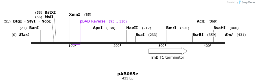 151286_map