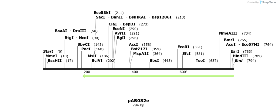 152358_map
