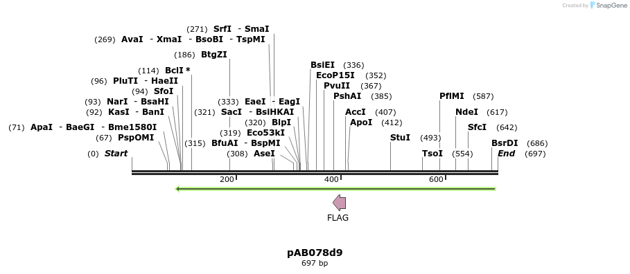153946_map
