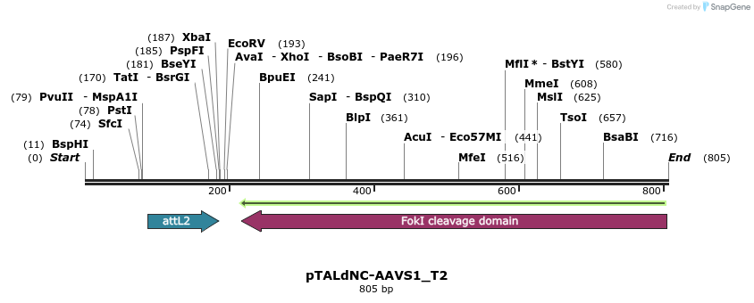 155367_map