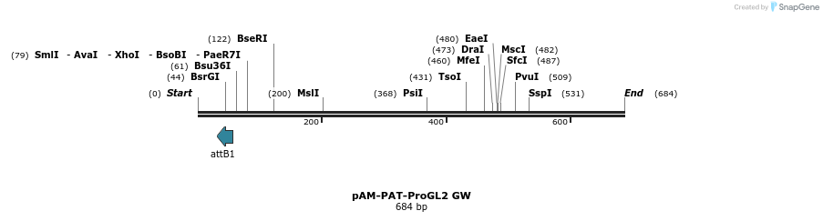 156984_map