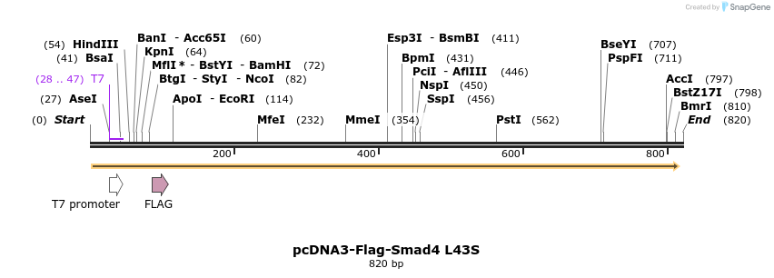 157824_map