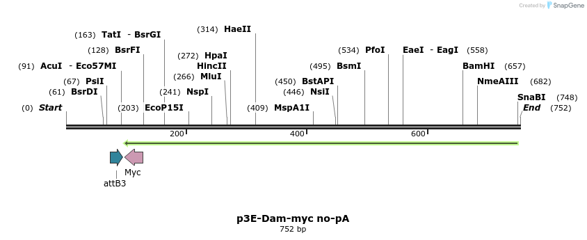 161293_map