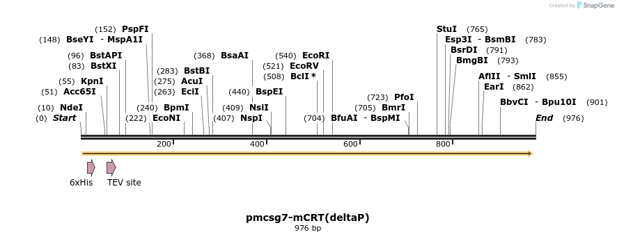 161345_map
