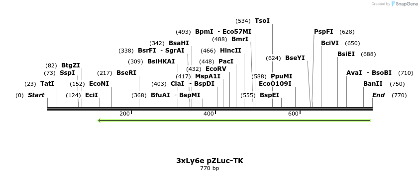 17158_map