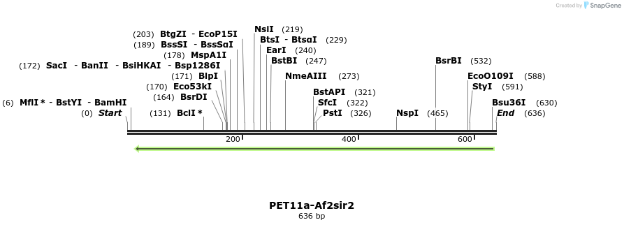 17277_map