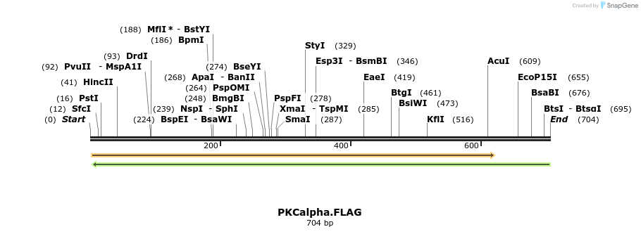 17746_map