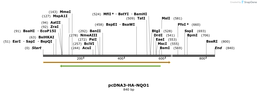 18581_map