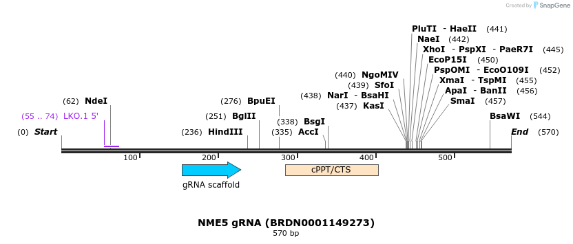 186091_map