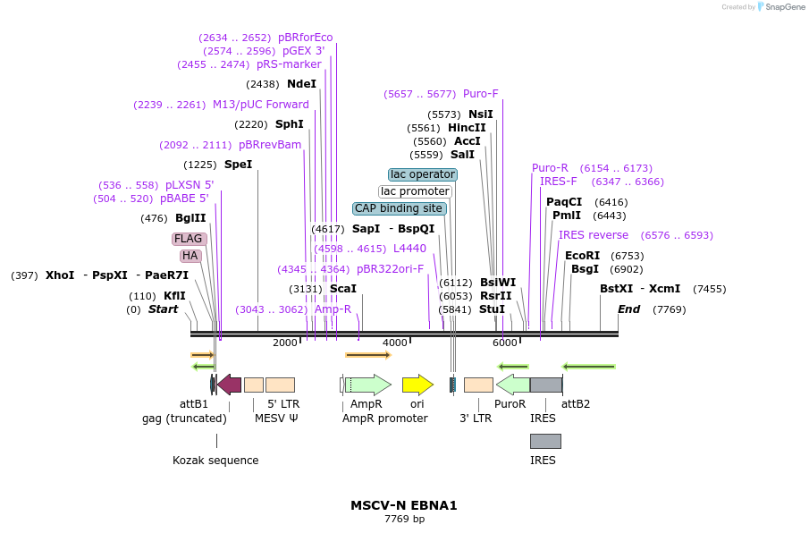 190067_map