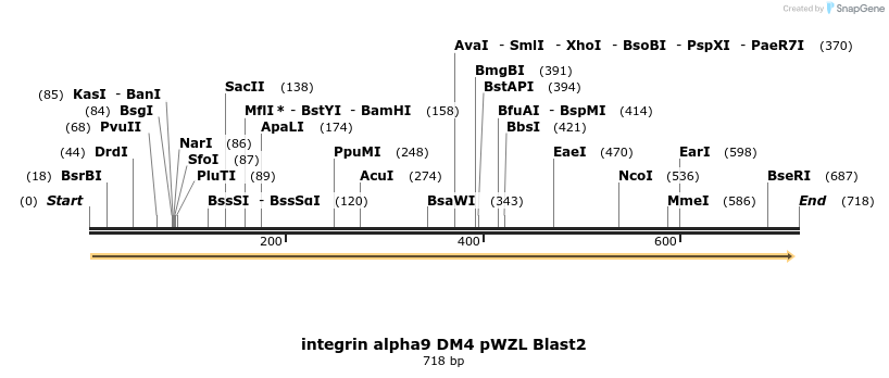 19978_map