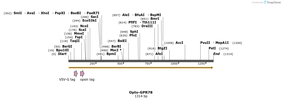 200796_map