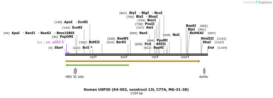 208258_map