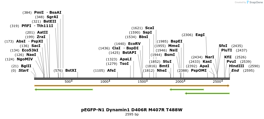 211044_map