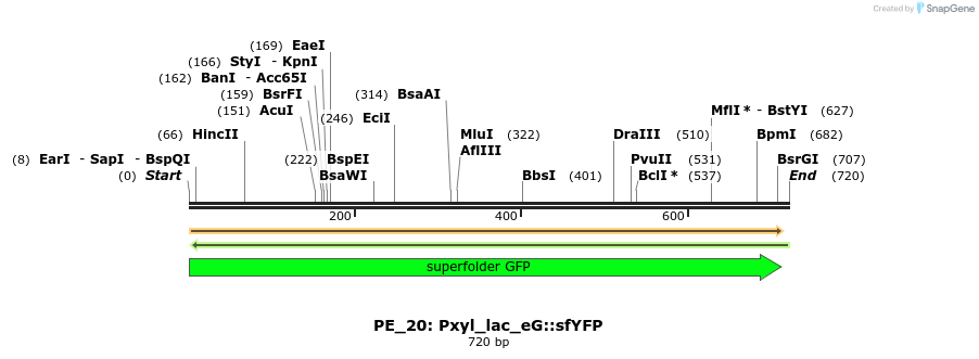 214377_map