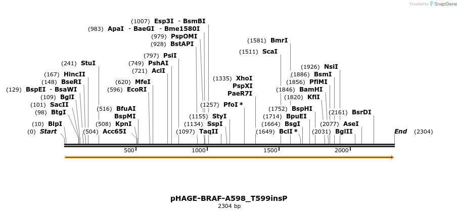 219005_map