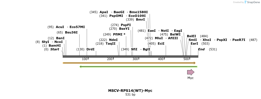 233113_map