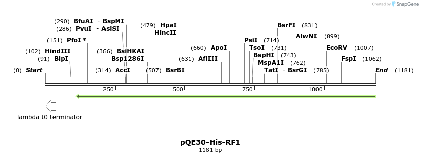 236255_map