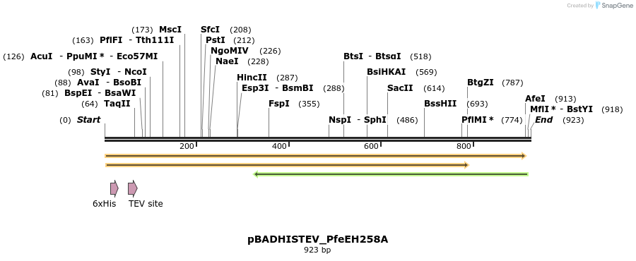 247595_map