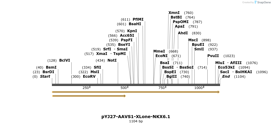 251204_map
