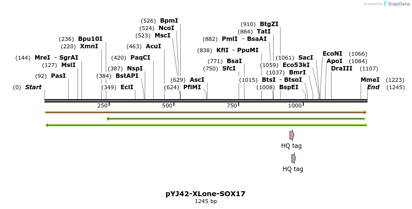 251222_map
