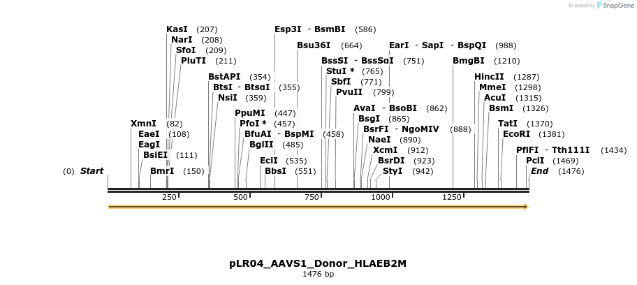 251230_map