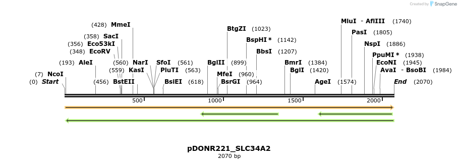 253576_map
