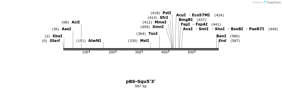 25973_map