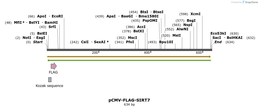 26113_map