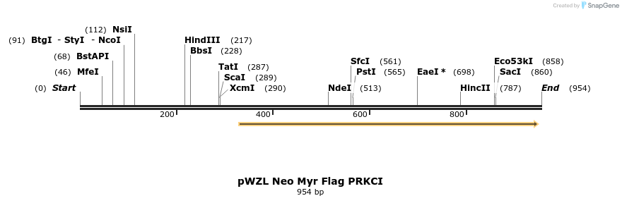 26429_map