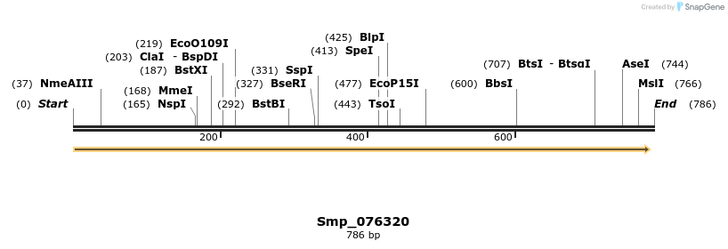269572_map