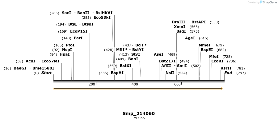 269585_map