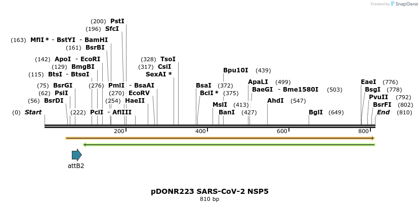 276464_map