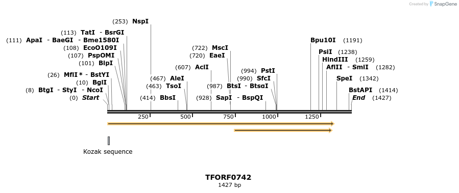 277174_map