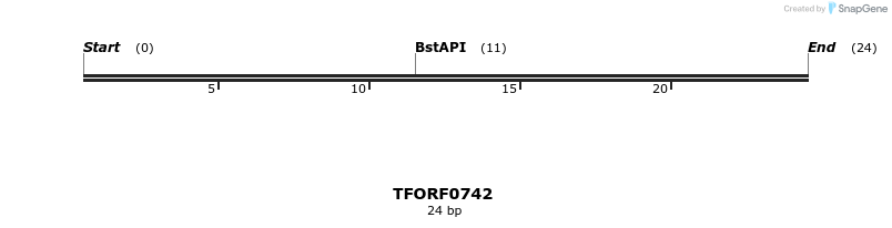 277175_map
