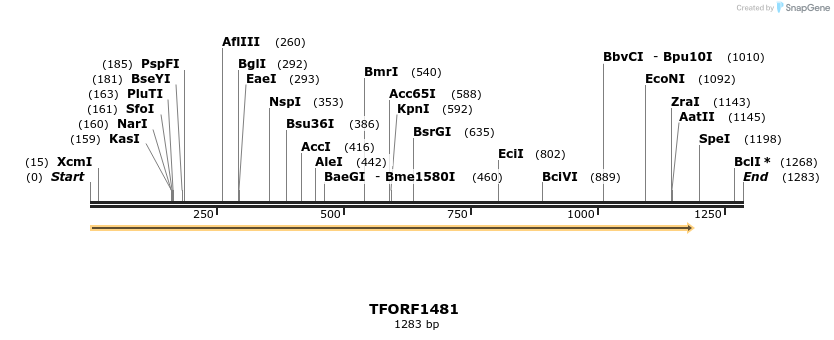 277618_map