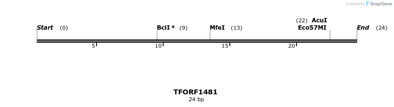 277619_map