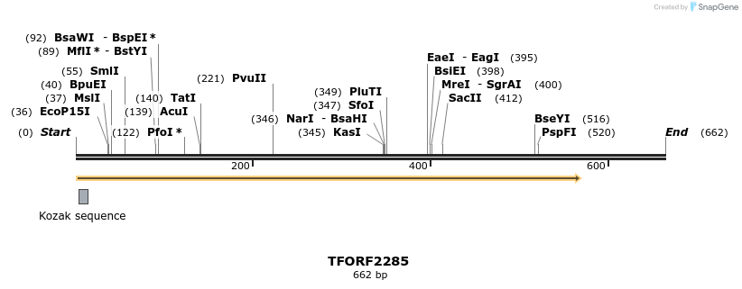 278164_map