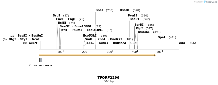 278185_map