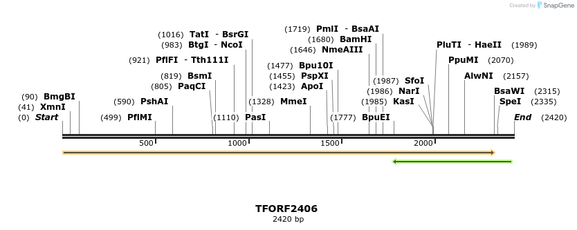 278347_map