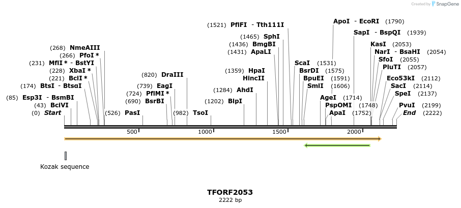 280874_map