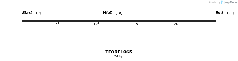 283882_map