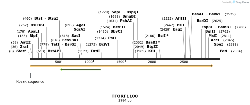 283899_map