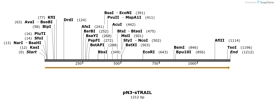 298463_map