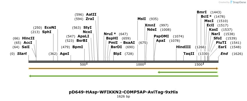 304060_map