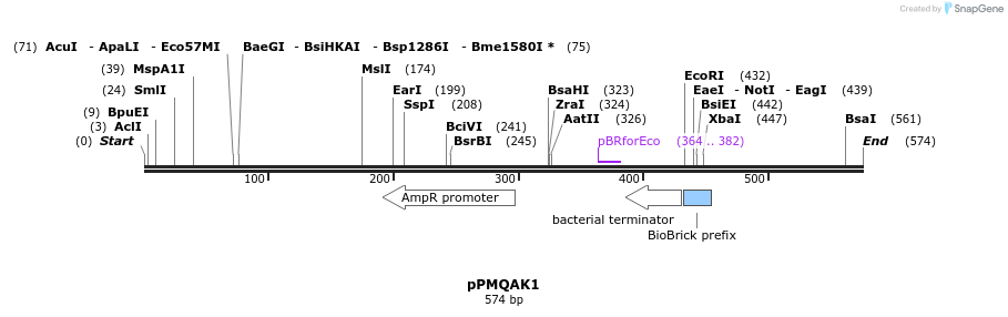 31760_map