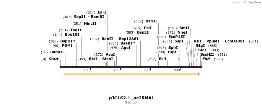 32740_map